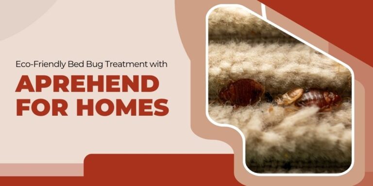 Eco-Friendly Bed Bug Treatment with Aprehend for Homes